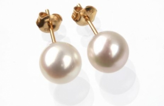 Gold Akoya Pearl Earrings SNOW WHITE 8 mm AAAA 