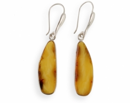 Unique Amber Earrings EQUINOX