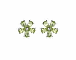 Srebrni uhani LS Flower peridot in ametist