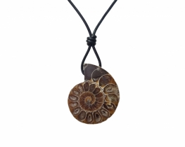 Fossil Pendant - Ammonite