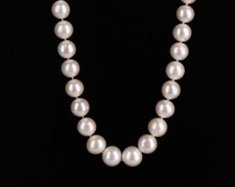 Biserna ogrlica OPRAH 13-15 mm zlata zaponka