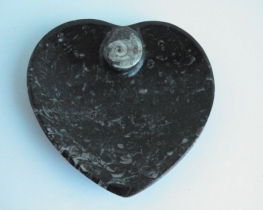 FOSSIL - Decorative Bowl in the shape of a Heart