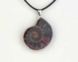 Fossil Pendant - Ammonite