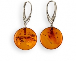 Silver Earrings AMBER - OMEGA