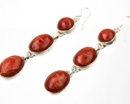 Silver Earrings with Coral