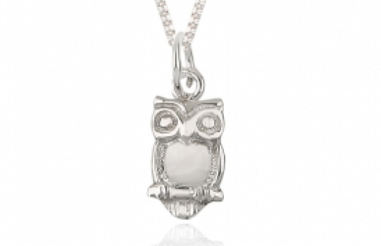 Silver Pendant OWL