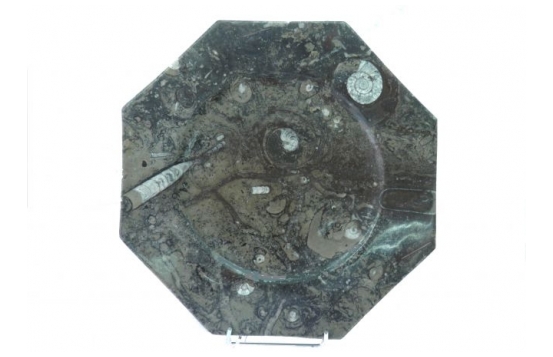 Fosili - okrasni osemkotni krožnik